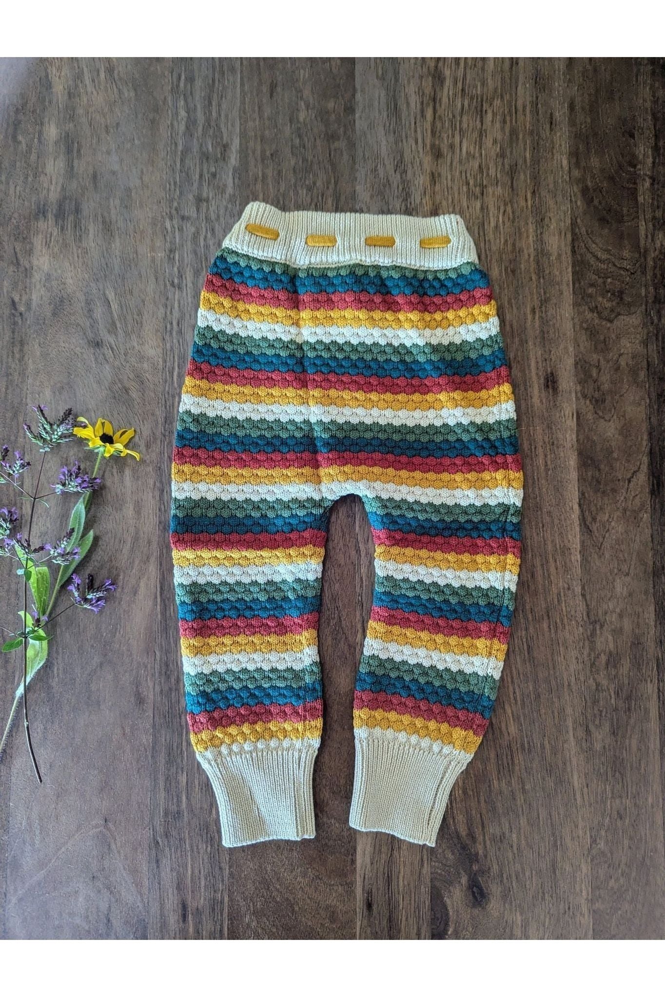 Little Green Radicals - Organic Cotton Rainbow - Soft Knit Joggers - (Newborn - 6 years) - Nature's Wild Child