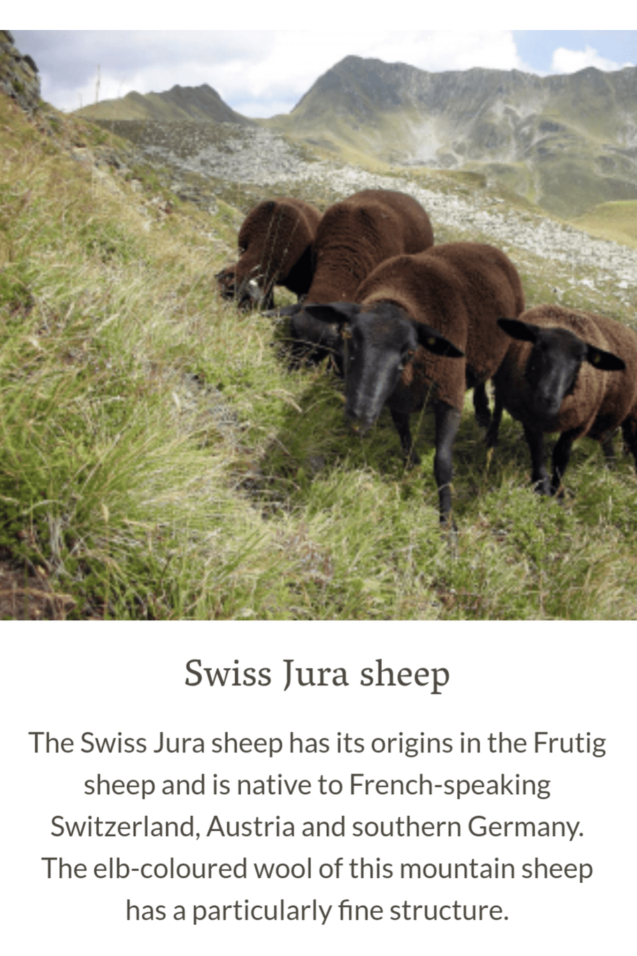 NEW! Magic Felt - Rare Wool Slippers - Boiled Wool & Leather (4 colors) - Nature's Wild Child