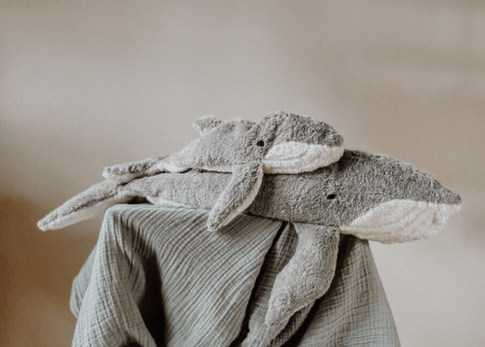 NEW! Senger - GOTS Organic Cotton Stuffed Animal - Small Whale - Nature's Wild Child