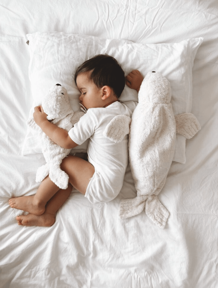 NEW! Senger - GOTS Organic Cotton & Wool Stuffed Animal - Large White Seal - Nature's Wild Child