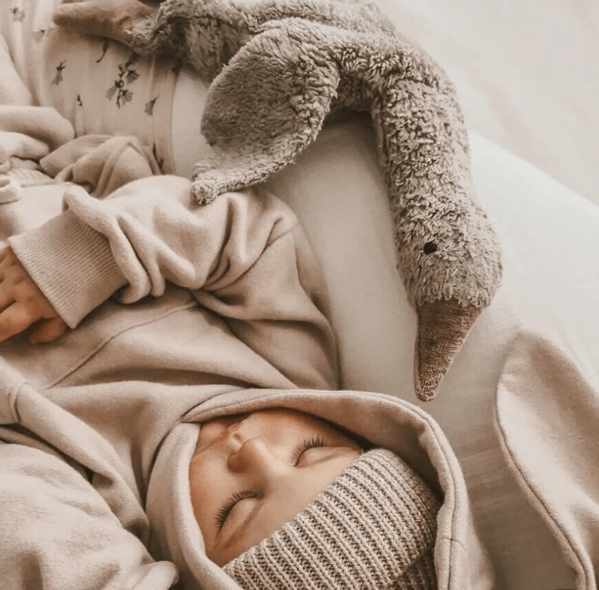 Senger - GOTS Organic Cotton Stuffed Animal - Small Grey Goose - Nature's Wild Child