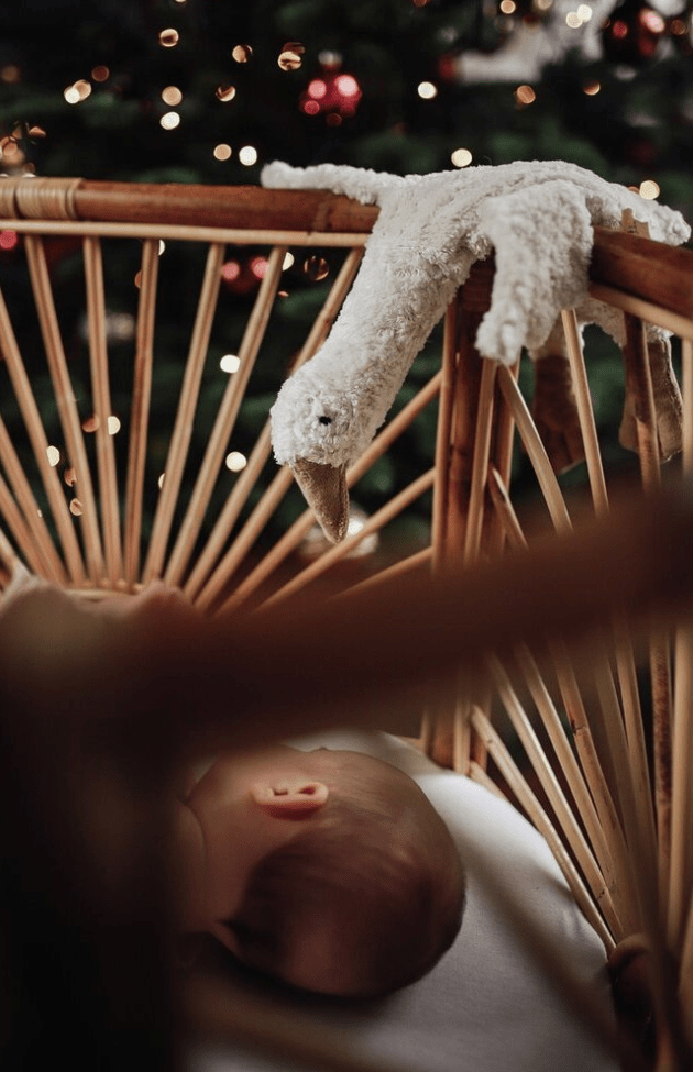 Senger - GOTS Organic Cotton Stuffed Animal - Small White Goose - Nature's Wild Child