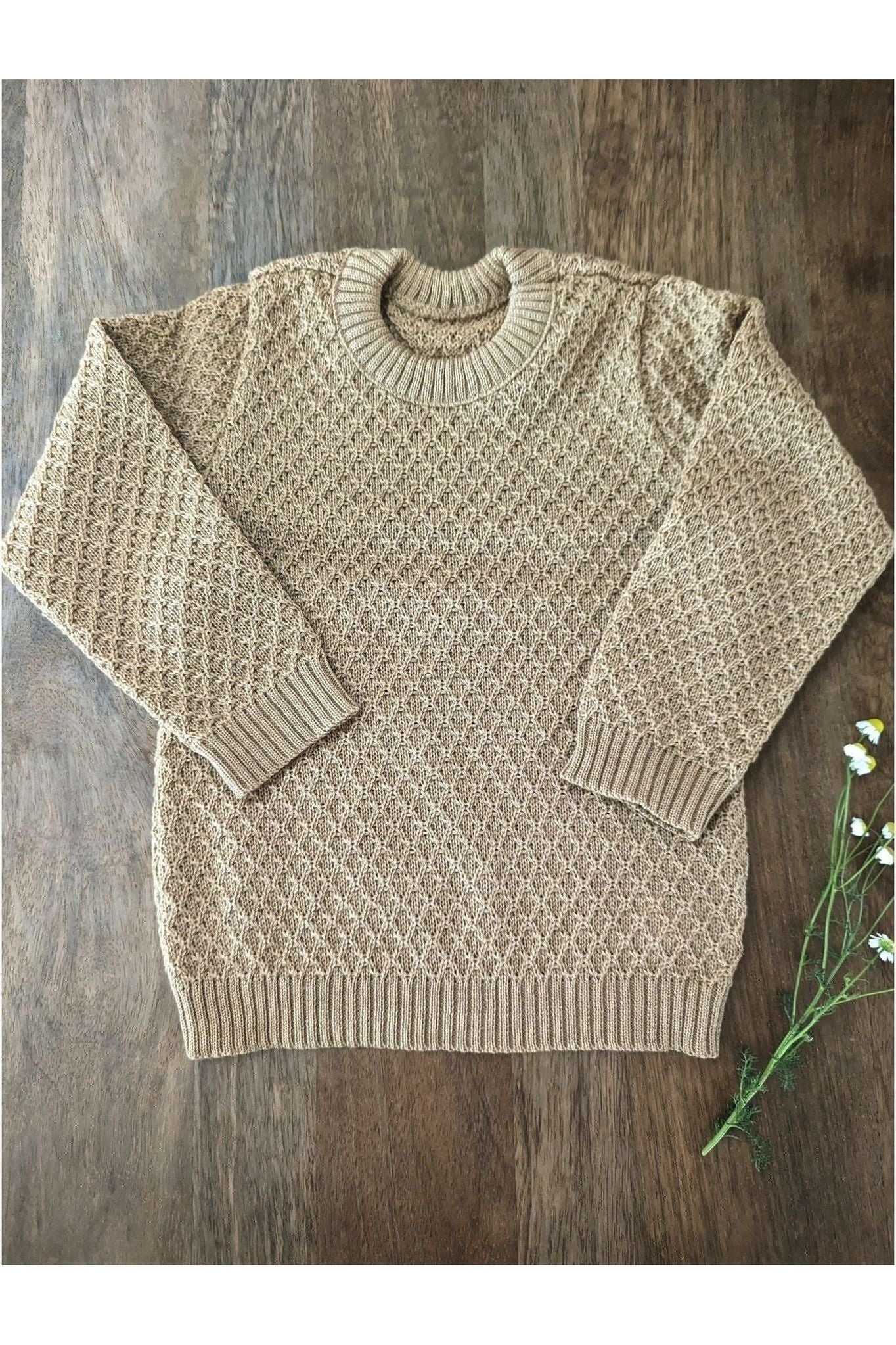 Disana Aran Sweater (12 mo - 8 years) - Nature's Wild Child