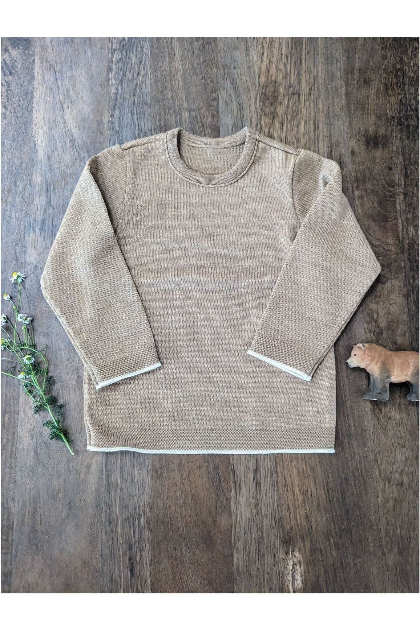 Disana - Organic Merino - Knit Sweater with Contrasting Trim - Nature's Wild Child