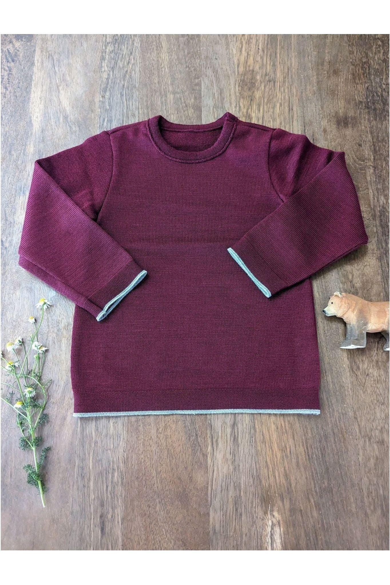 Disana - Organic Merino - Knit Sweater with Contrasting Trim - Nature's Wild Child