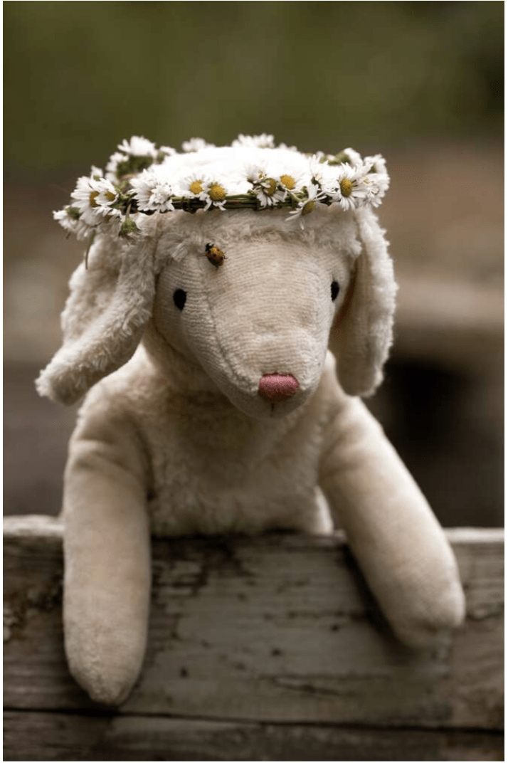 Senger - GOTS Organic Cotton Stuffed Animal - Small Lamb - Nature's Wild Child