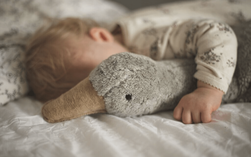 (Copy) Senger - GOTS Organic Cotton Stuffed Animal - Large Cuddly Grey Goose - Nature's Wild Child