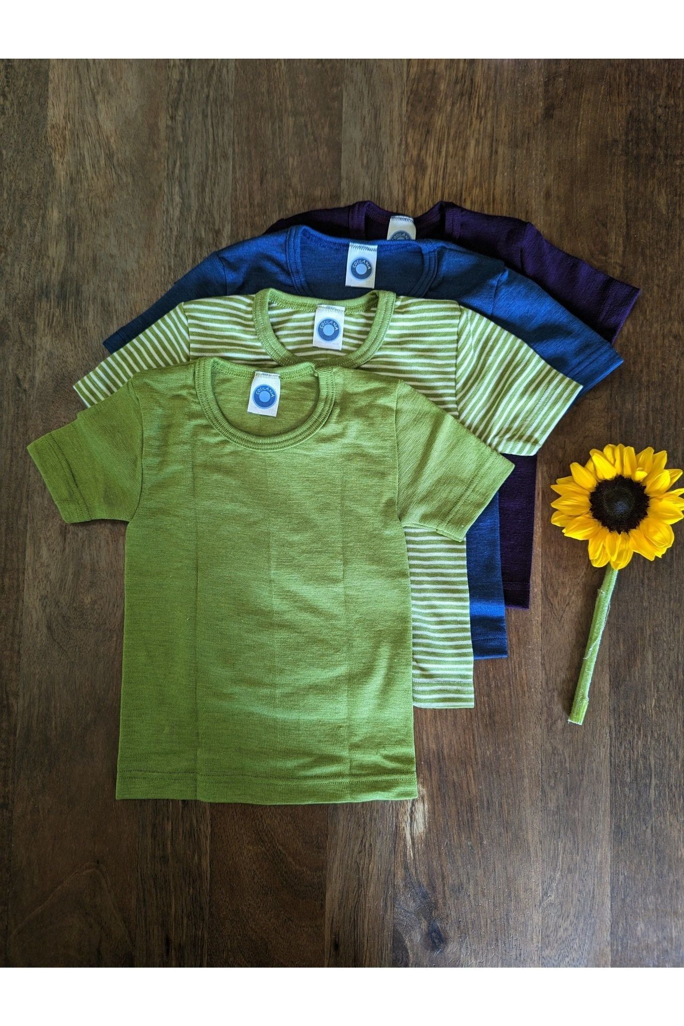 Cosilana - Organic Wool Silk - Toddler and Kids - Short Sleeve T-Shirt - Nature's Wild Child