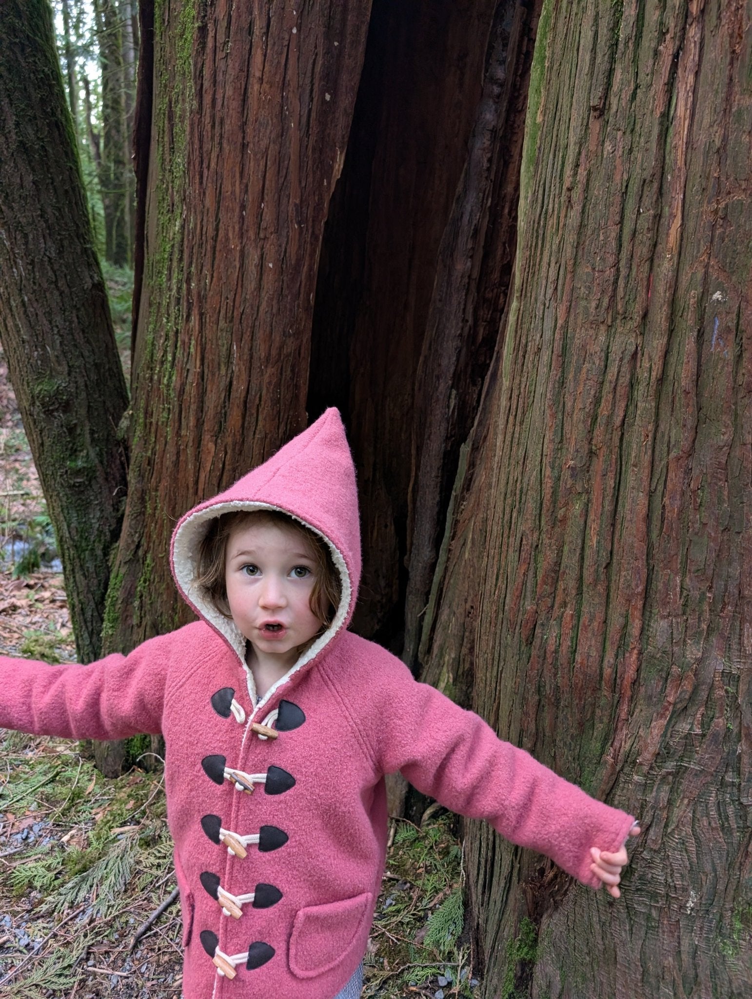 Kleine Shcobbejak - Boiled Wool and Cotton Sherpa - Pixie Jacket - Frosted Rose - Nature's Wild Child