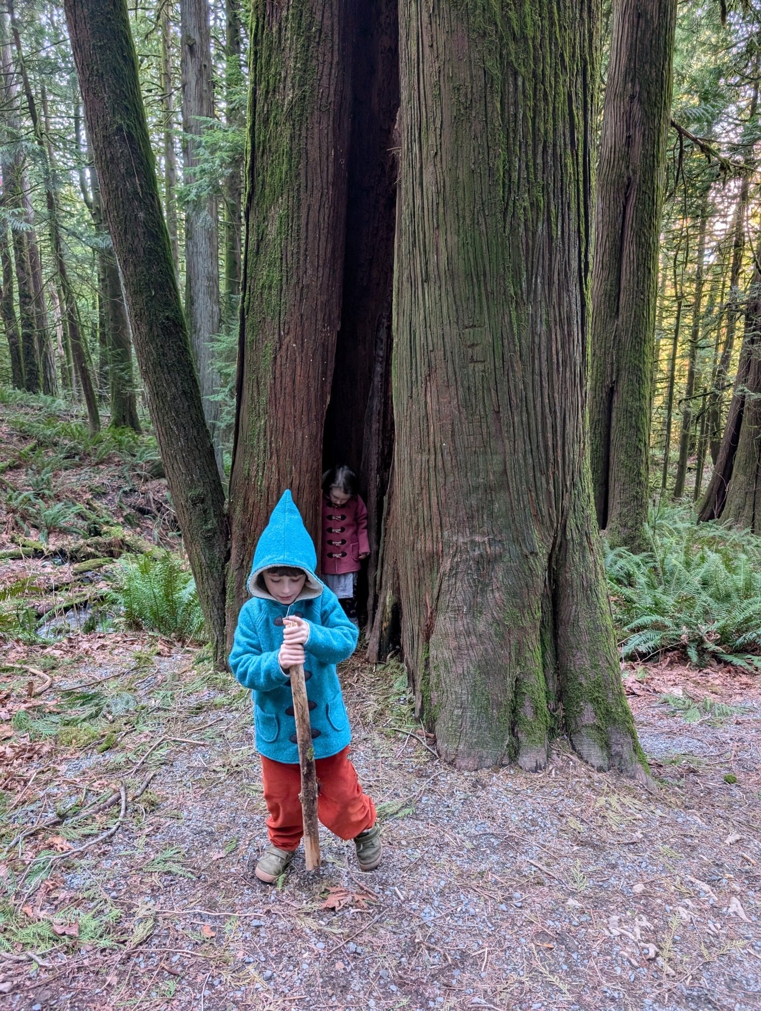 Kleine Shcobbejak - Boiled Wool and Cotton Sherpa - Pixie Jacket - Twilight Teal - Nature's Wild Child