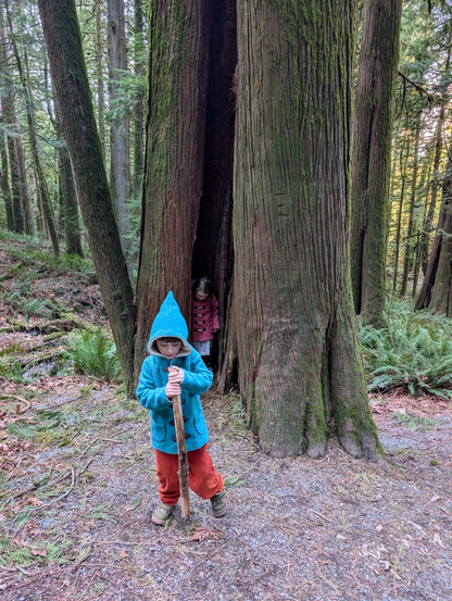 Kleine Shcobbejak - Boiled Wool and Cotton Sherpa - Pixie Jacket - Twilight Teal - Nature's Wild Child