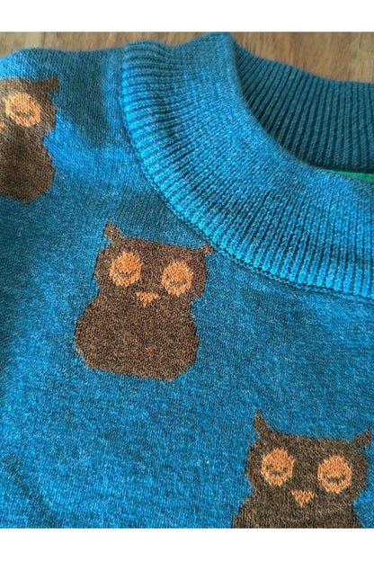 Little Green Radicals - Organic Cotton OWL - Soft Knit Sweater - (6 months - 6 years) - Nature's Wild Child