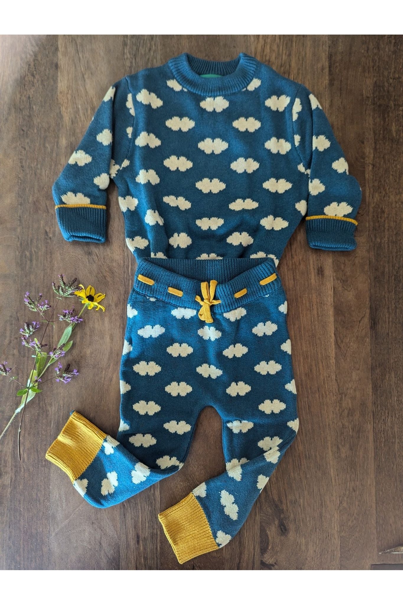 Little Green Radicals - Organic Cotton Teal Cloud - Soft Knit Joggers - (Newborn - 6 years) - Nature's Wild Child