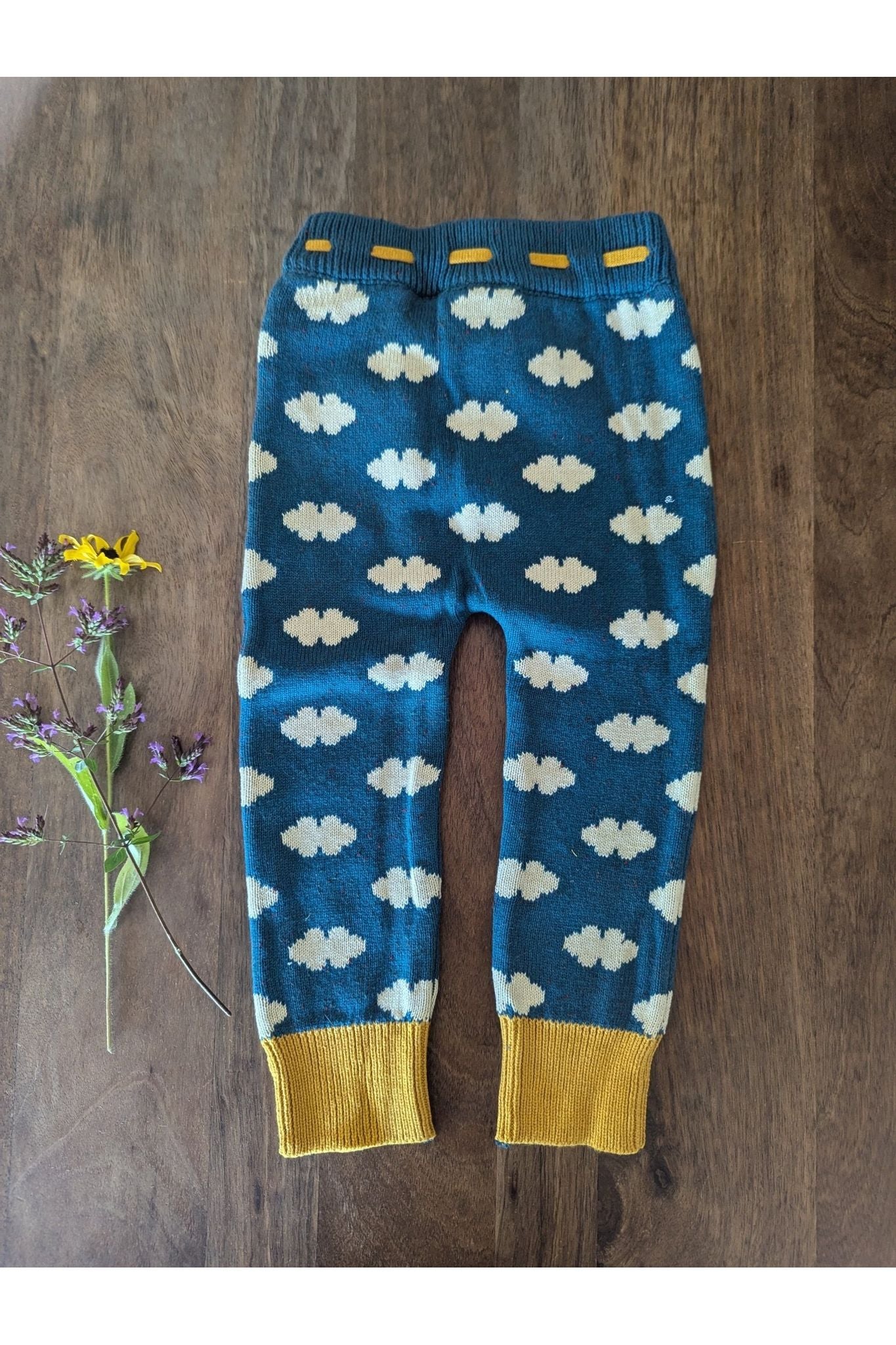 Little Green Radicals - Organic Cotton Teal Cloud - Soft Knit Joggers - (Newborn - 6 years) - Nature's Wild Child