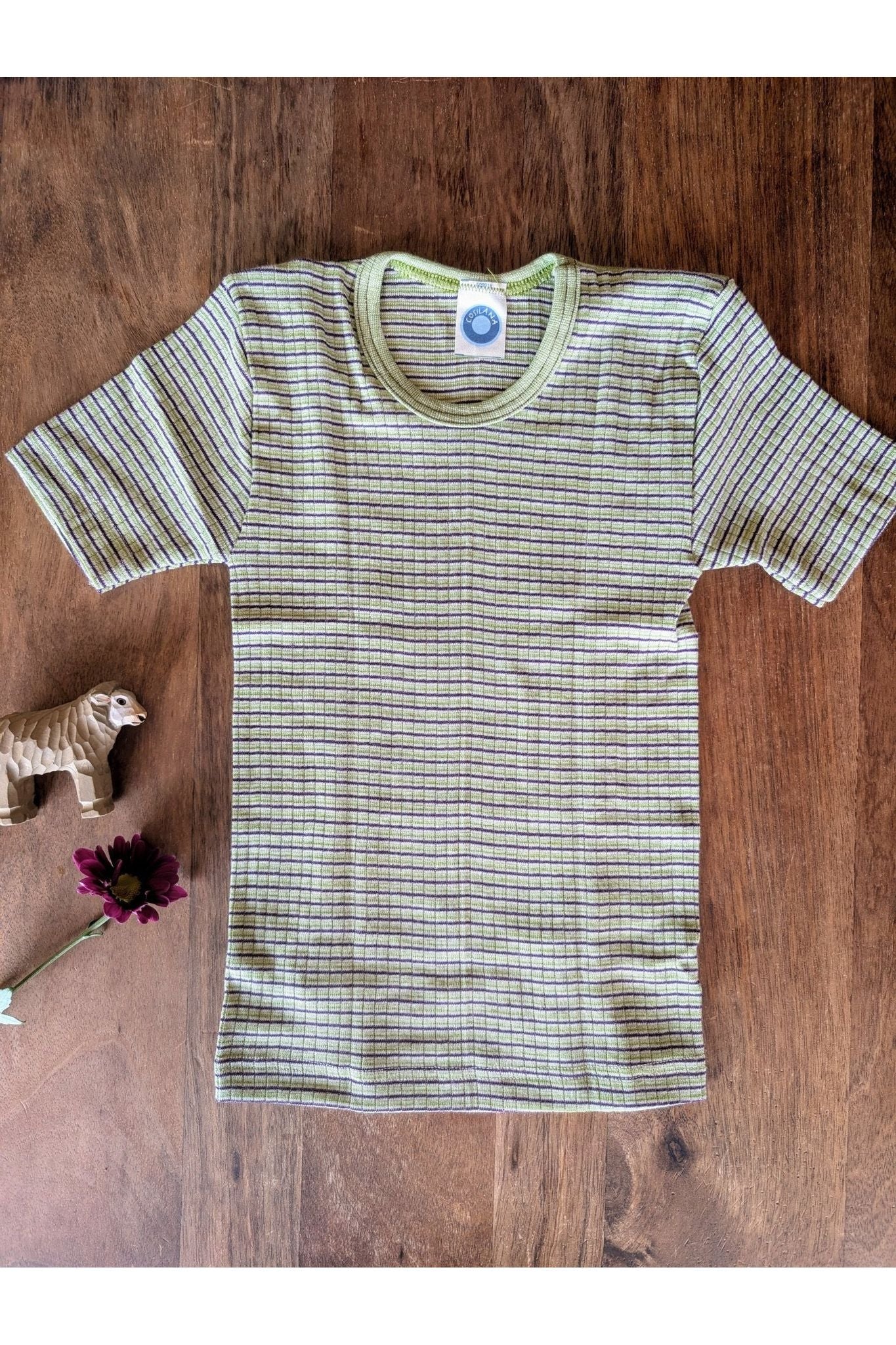 NEW Colors! Cosilana Organic Wool Silk Cotton Tee (12 mo - 8 years) - Nature's Wild Child