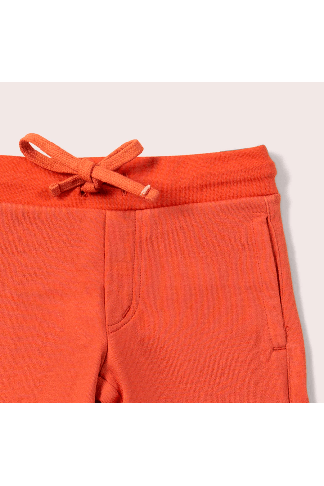 NEW Colors! Little Green Radicals - GOTS Organic Cotton June Bug Shorts - Nature's Wild Child