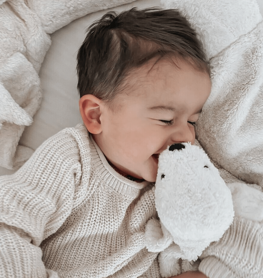 NEW! Senger - GOTS Organic Cotton & Wool Stuffed Animal - Small White Seal - Nature's Wild Child