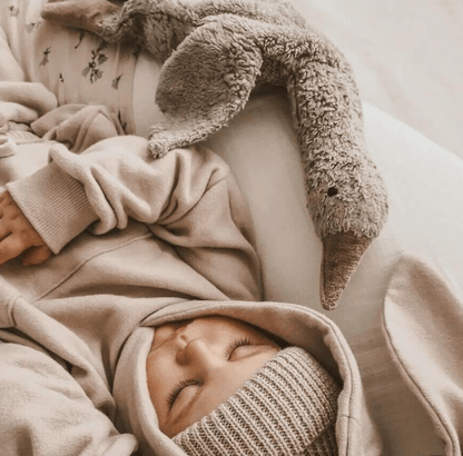 Senger - GOTS Organic Cotton Stuffed Animal - Small Grey Goose - Nature's Wild Child