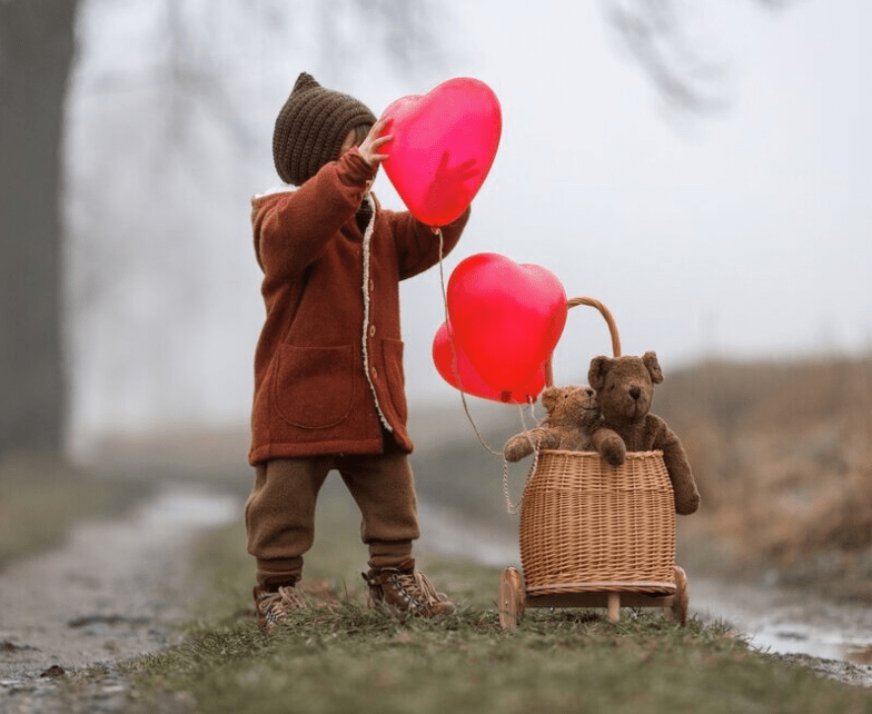 Senger - Organic Cotton - Large Teddy Bear - Brown - Nature's Wild Child