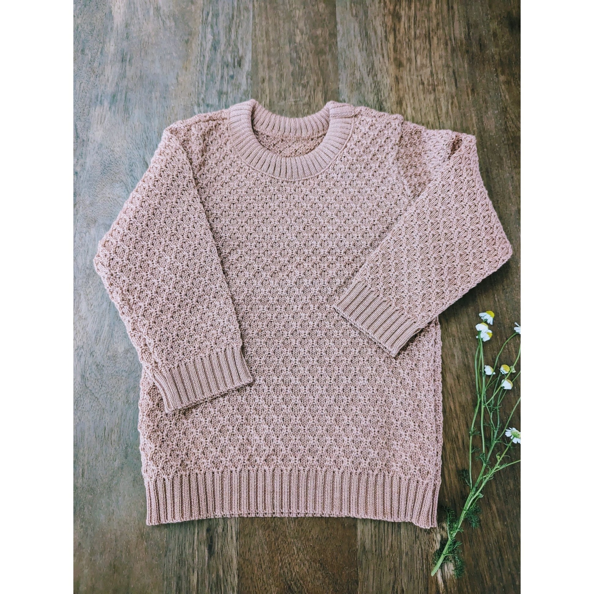 Disana Aran Sweater - Organic Merino Wool – Nature's Wild Child